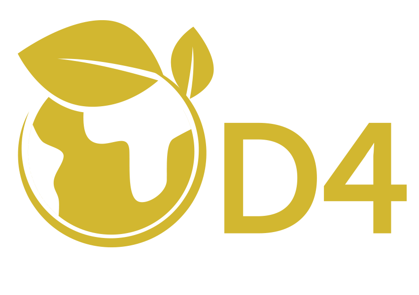 icono d4