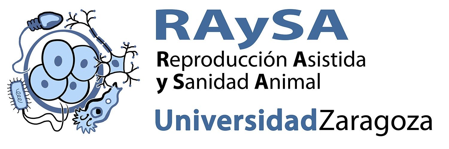 raysa-logo