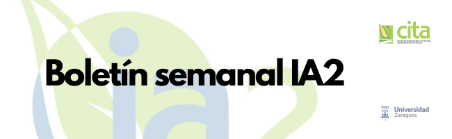 cabecera boletín semanal