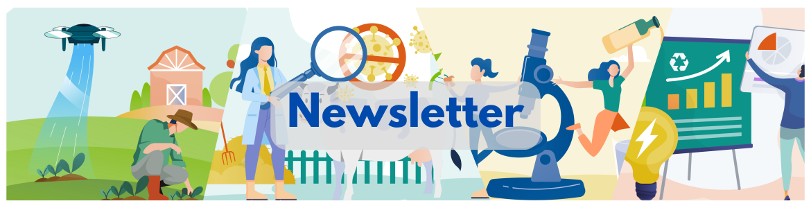 imagen cabecera newsletter