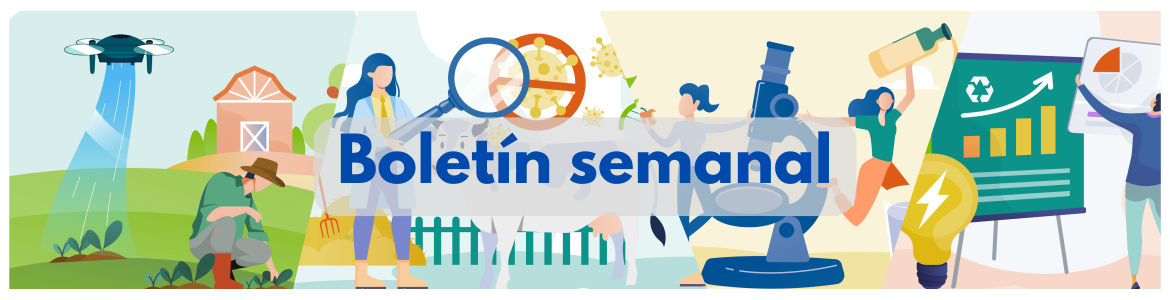 imagen cabecera boletín semanal