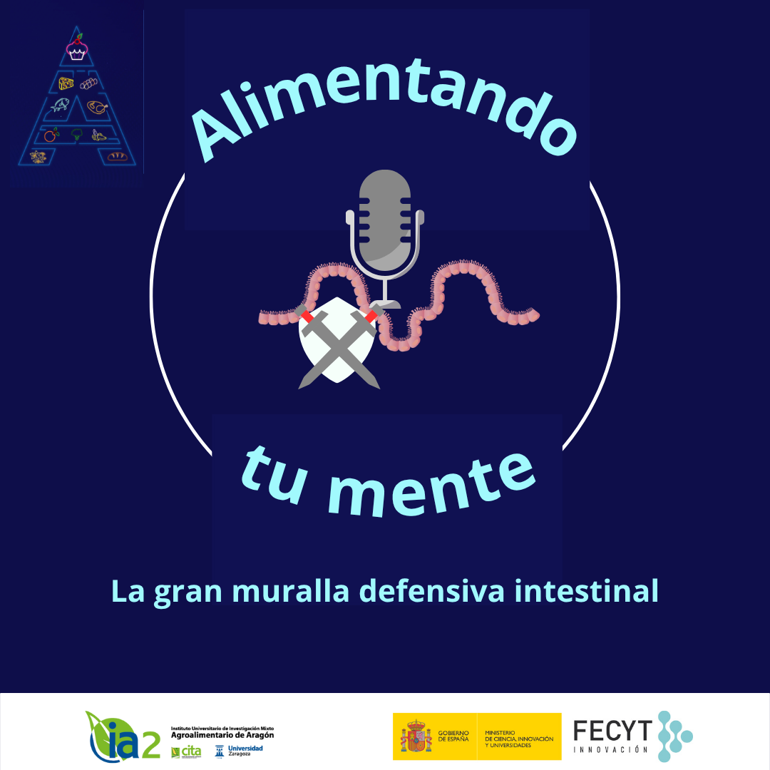 Episodio 9
