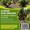 cartel colaboración con FITE ACTIVITé