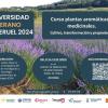 cartel curso sobre transformación y propiedades de Plantas Aromáticas y Medicinales