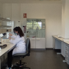 Investigadora en laboratorio del CITA