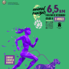 cartel octava edición carrera Animalrunizar 2025