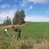 Personas trabajando en un campo