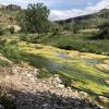 imagen de un río alusiva al proyecto LIFE NITRAZENS