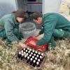 El CITA pone en marcha cuatro nuevos proyectos de Generación de Conocimiento