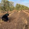 El CITA acoge la jornada de presentación de resultados finales del proyecto S.O.S.-Suelo Agroalnext