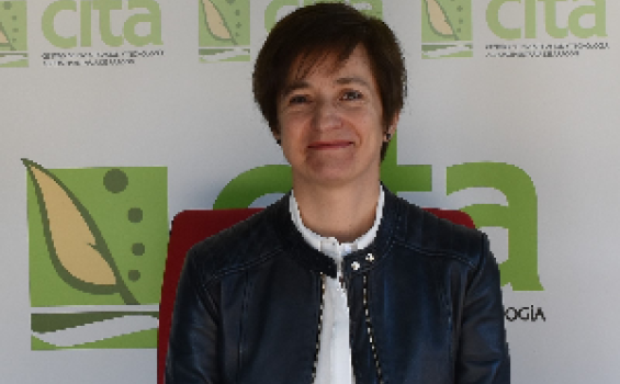 Albina Sanz