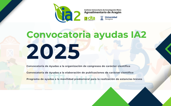 cartel de la convocatoria de ayudas internas del IA2 correspondiente a 2025