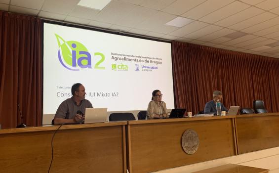 Consejo de Instituto IA2 09-06-2025