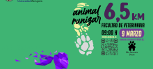 cartel octava edición carrera Animalrunizar 2025