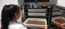 técnico de laboratorio realizando análisis de suelos