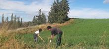 Personas trabajando en un campo
