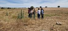 Técnicos del departamento de Agricultura del Gobierno de Aragón y expertos del CITA vistan Farlete para mitigar la plaga de langosta