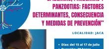 Cartel curso extraordinario "Epidemias, pandemias y panzootias"