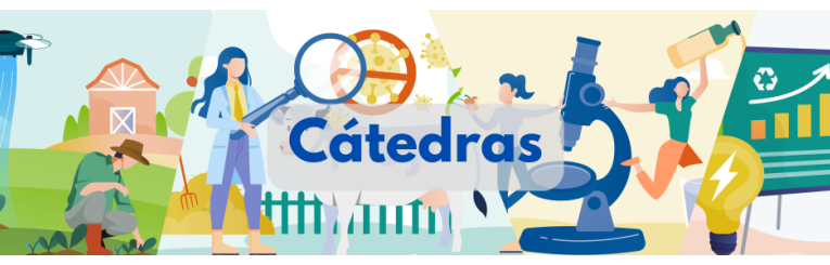 imagen cabecera cátedras