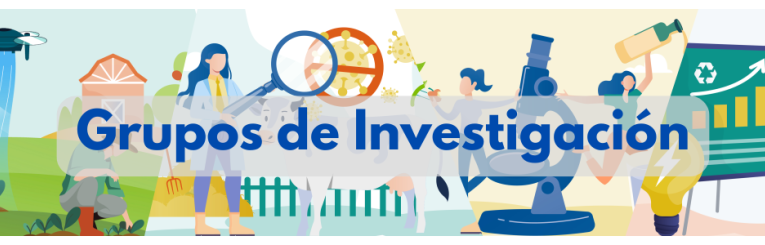 imagen cabecera grupos de investigación