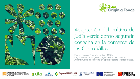 cartel jornada GC 'Adaptación del cultivo de judía verde como segunda cosecha en la comarca de las Cinco Villas' 