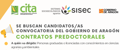 imagen oferta contrato predoctoral 