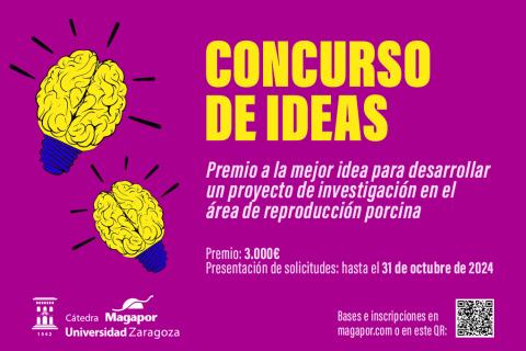 Cartel Concurso de Ideas Cátedra Magapor 2024 (segunda edición)