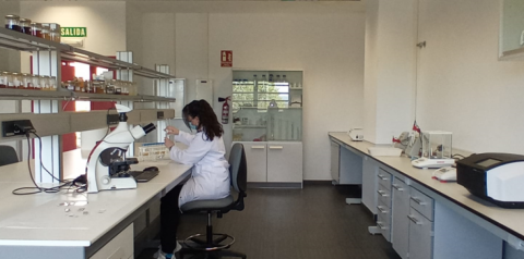 Investigadora en laboratorio del CITA
