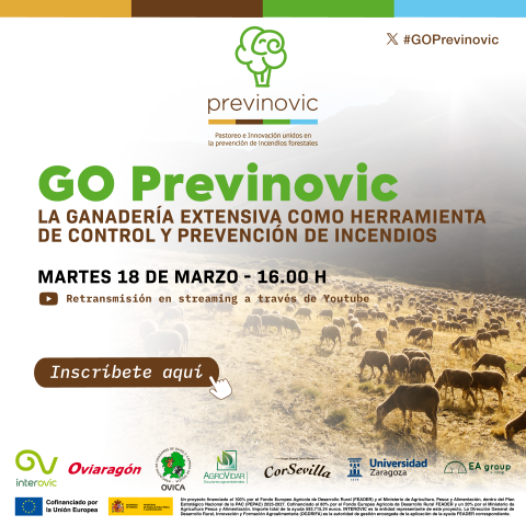 cartel webinario GO PREVINOVIC