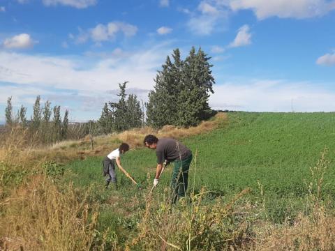 Personas trabajando en un campo