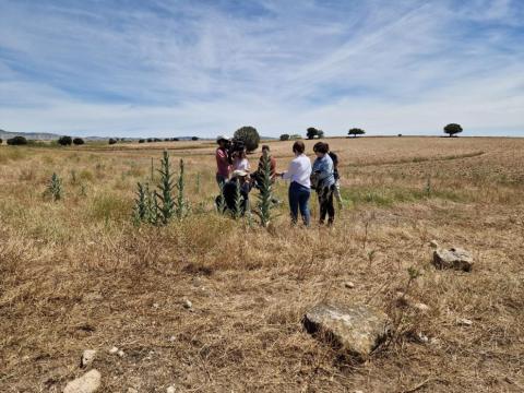 Técnicos del departamento de Agricultura del Gobierno de Aragón y expertos del CITA vistan Farlete para mitigar la plaga de langosta