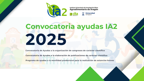 cartel de la convocatoria de ayudas internas del IA2 correspondiente a 2025