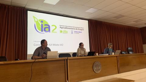 Consejo de Instituto IA2 09-06-2025
