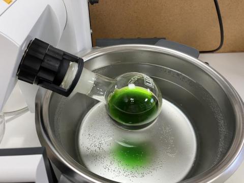 Imagen del proceso de extracción y de los extractos en los laboratorios del CITA