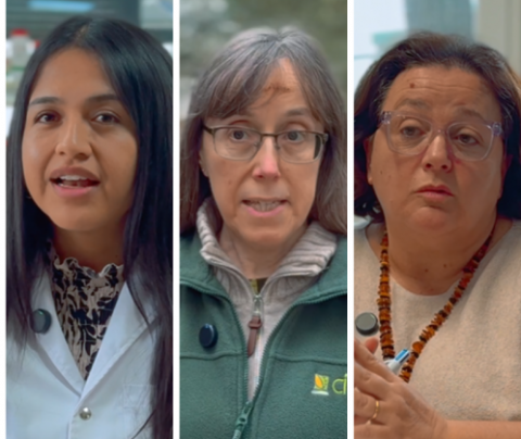 Andrea de las Mercedes Torres, Alicia Cirujeda y Tiziana de Magistris en los vídeo de la campaña por el 11F 2026